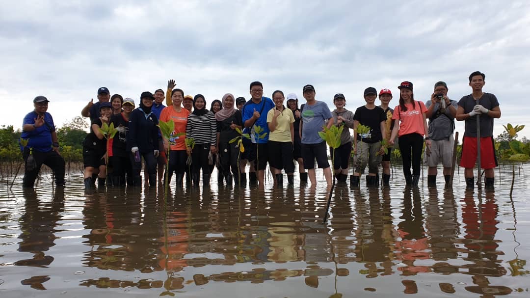 MSIG Kuantan Mangrove